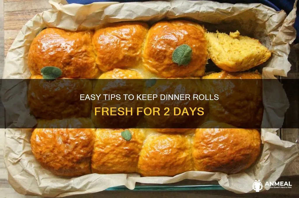 how to keep dinner rolls fresh for 2 days