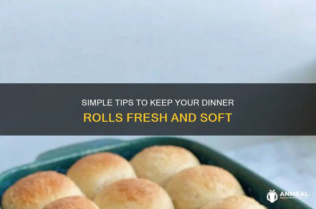 how to keep dinner rolls fresh