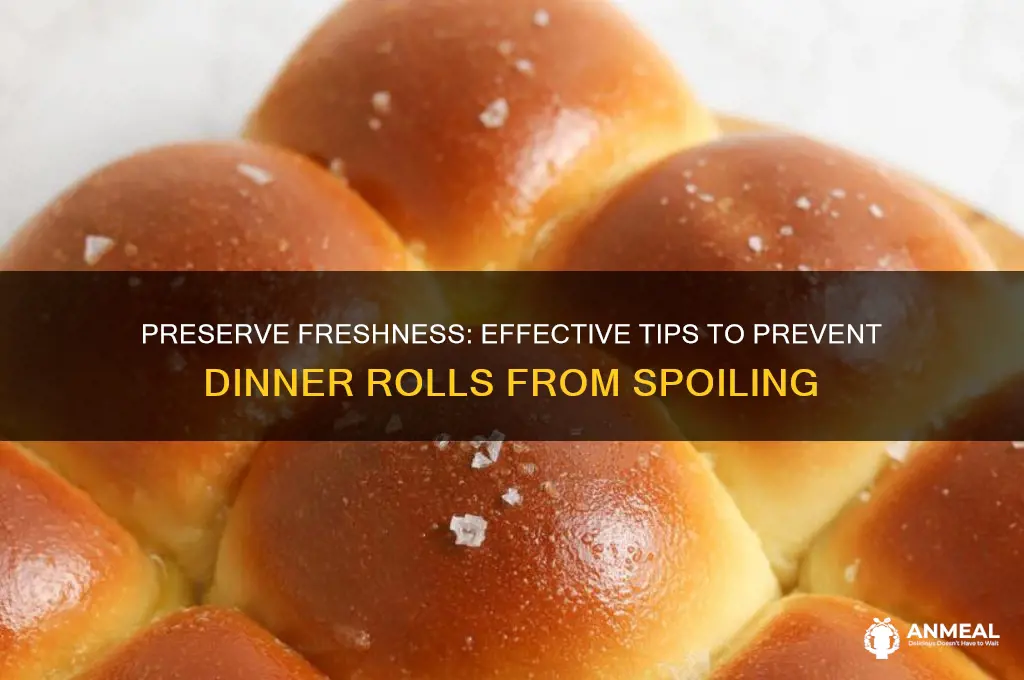 how to keep dinner rolls from spoiling