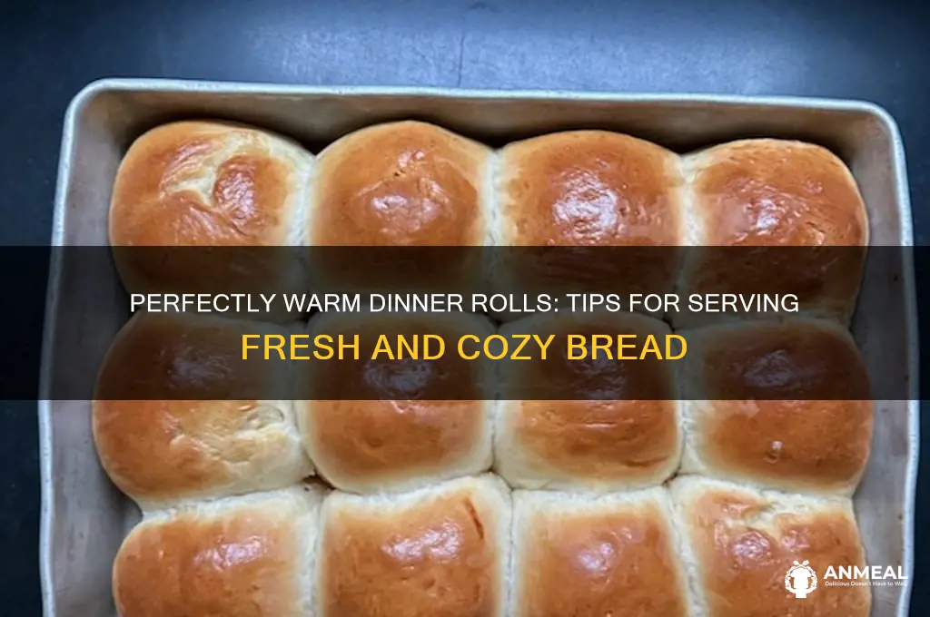how to keep dinner rolls warm
