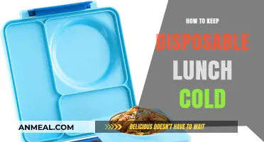 Chill Your Disposable Lunch: Tips for a Cool Meal on the Go