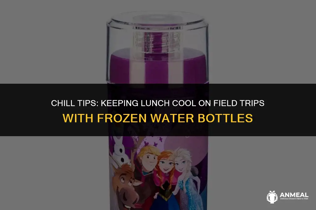 how to keep field trip lunch cool frozen water bottle