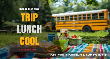 Chill Tips: Keeping Your Field Trip Lunch Cool and Fresh