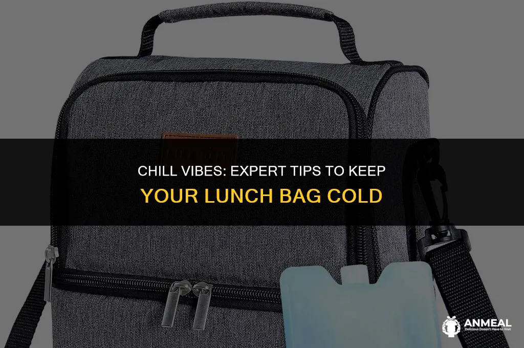 how to keep food cold in lunch bag
