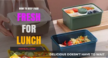 Fresh Lunch Ideas: Keeping Your Meals Tasty and Nutritious All Day