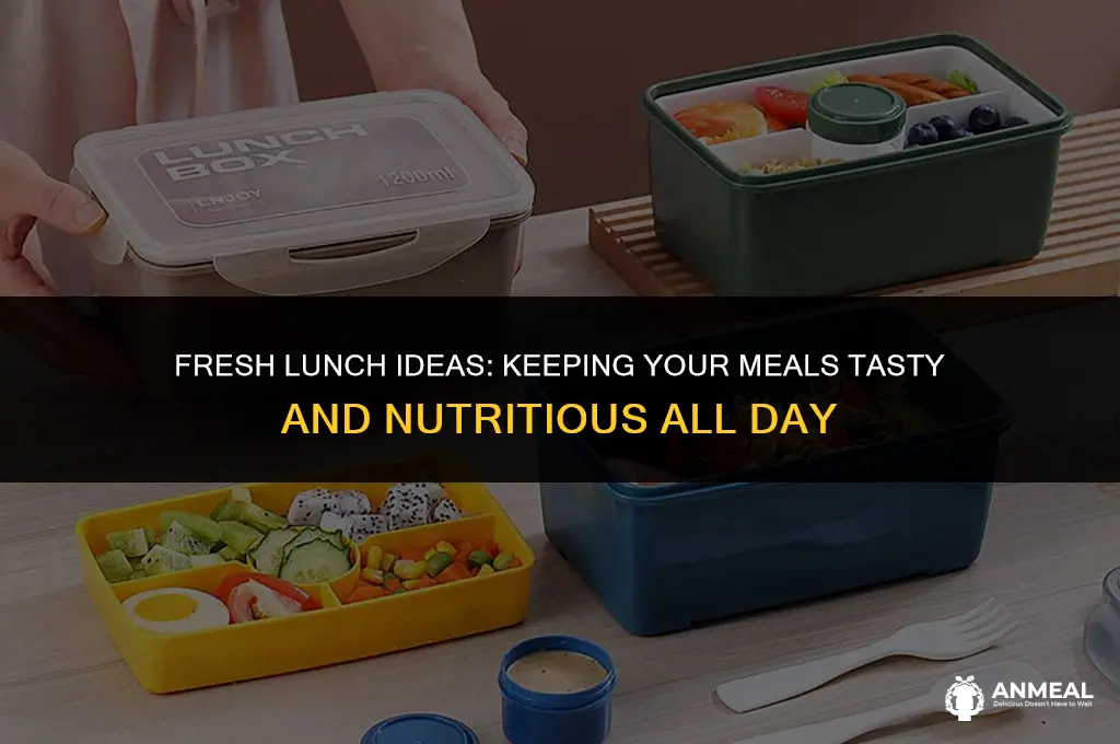 how to keep food fresh for lunch
