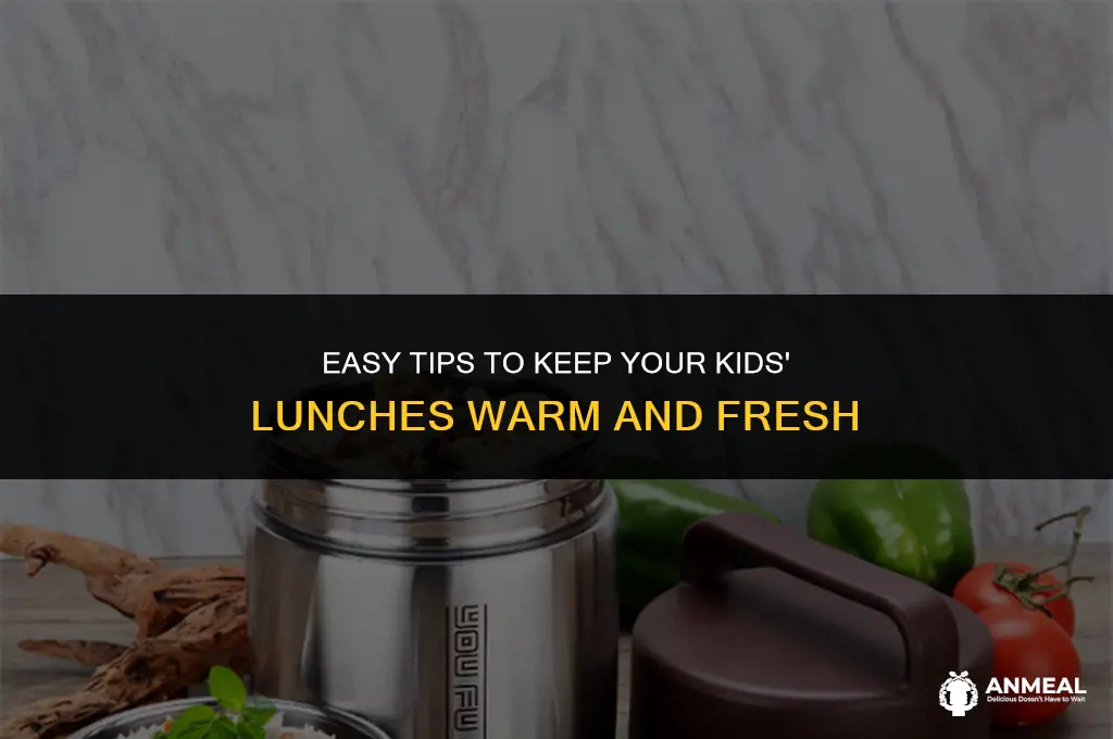 how to keep food warm for kids lunch