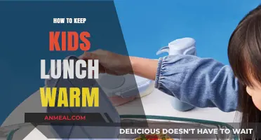 Insulated Lunch Boxes: Keeping Kids' Meals Warm and Fresh