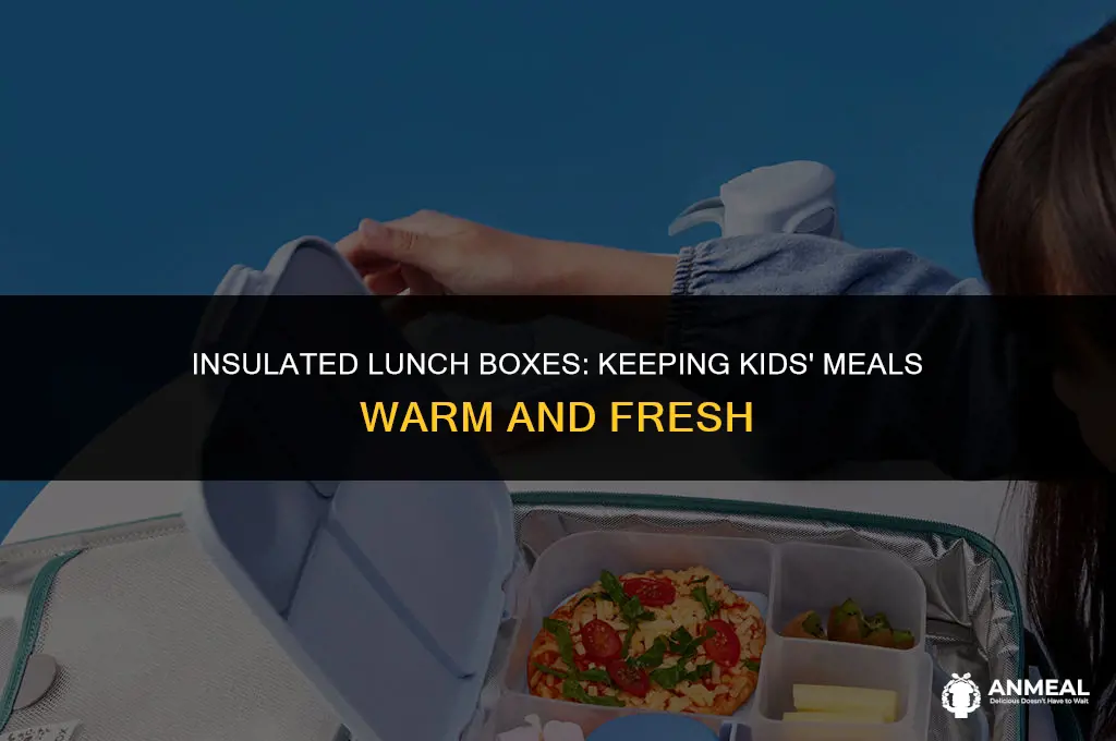 how to keep kids lunch warm