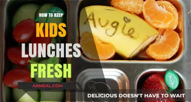 Fresh Lunches for Kids: Tips to Keep Meals Tasty and Safe