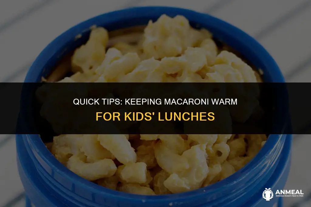 how to keep kids macaroni hot for kids lunch