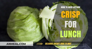 Fresh and Crunchy: The Ultimate Guide to Keeping Lettuce Crisp for Lunch