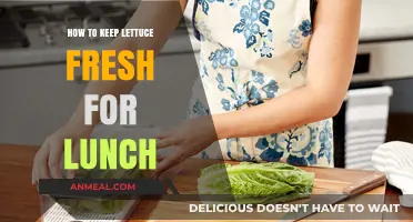 Crisp and Fresh: The Ultimate Guide to Keeping Lettuce Fresh for Lunch