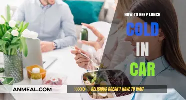 Chill Your Lunch: Tips for Keeping Meals Cold in the Car