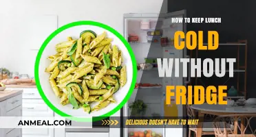 Chill Your Lunch: Ingenious Ways to Keep Meals Cold Without a Fridge