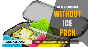 Chill Your Lunch: Ice Pack Alternatives for a Cool Meal