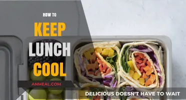 Chill Vibes: Expert Tips to Keep Your Lunch Cool and Fresh