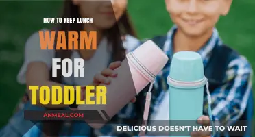 Easy Tips to Keep Your Toddler's Lunch Warm and Fresh