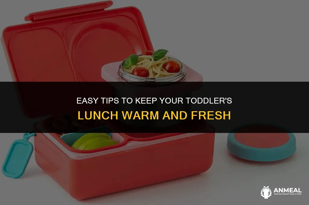 how to keep lunch warm for toddler