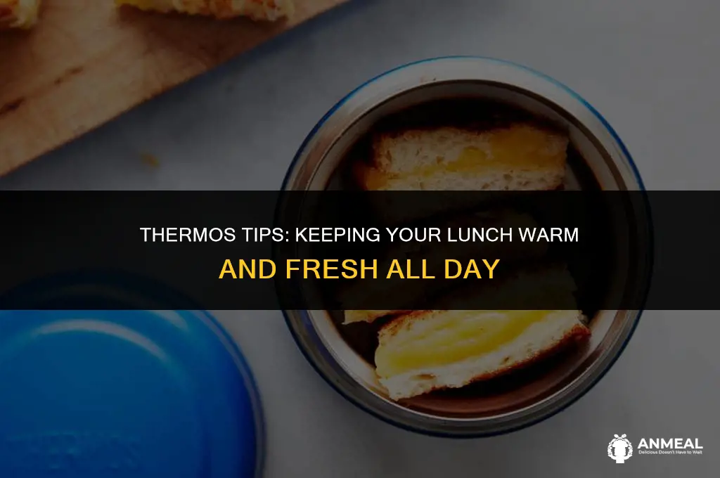 how to keep lunch warm in a thermos