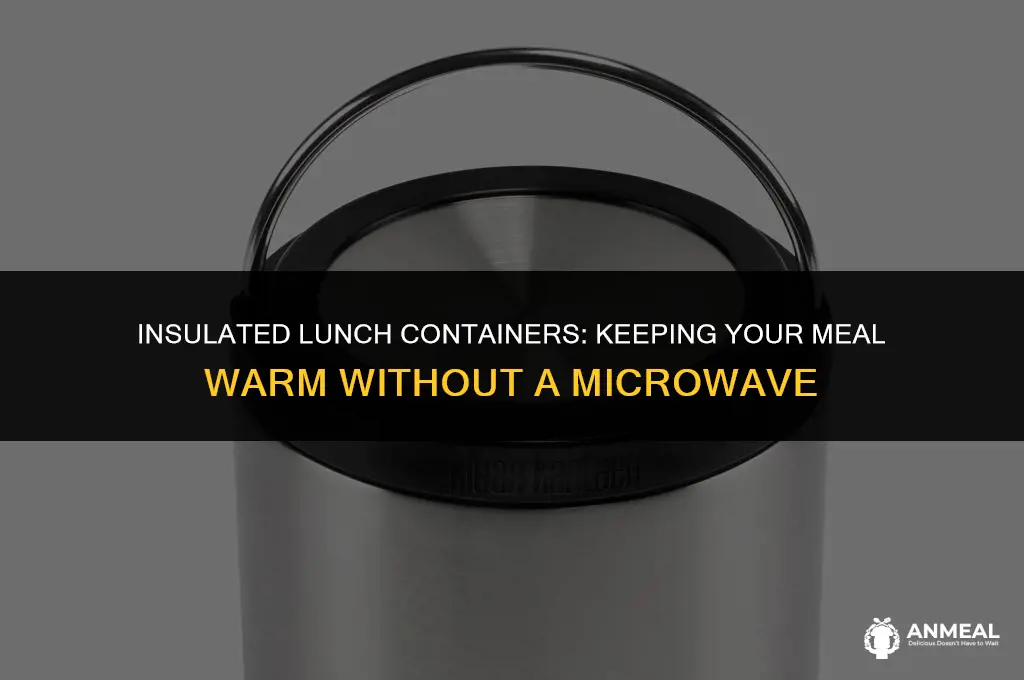 how to keep lunch warm without microwave