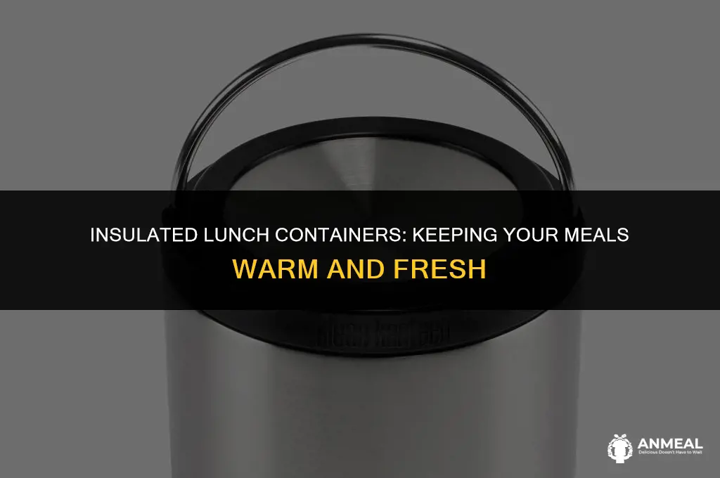 how to keep lunch warm