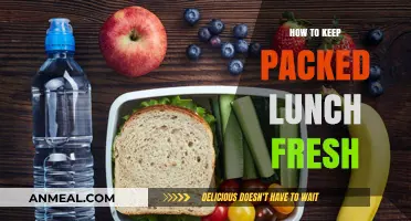 Freshness on the Go: Tips for Keeping Packed Lunches Fresh
