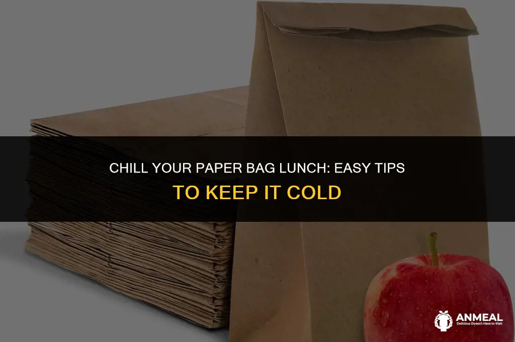 how to keep paper bag lunch cold