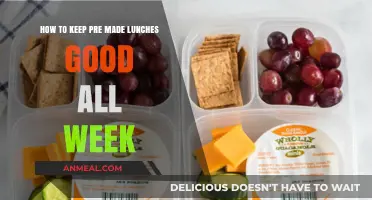 Fresh All Week: Tips for Keeping Pre-Made Lunches Delicious