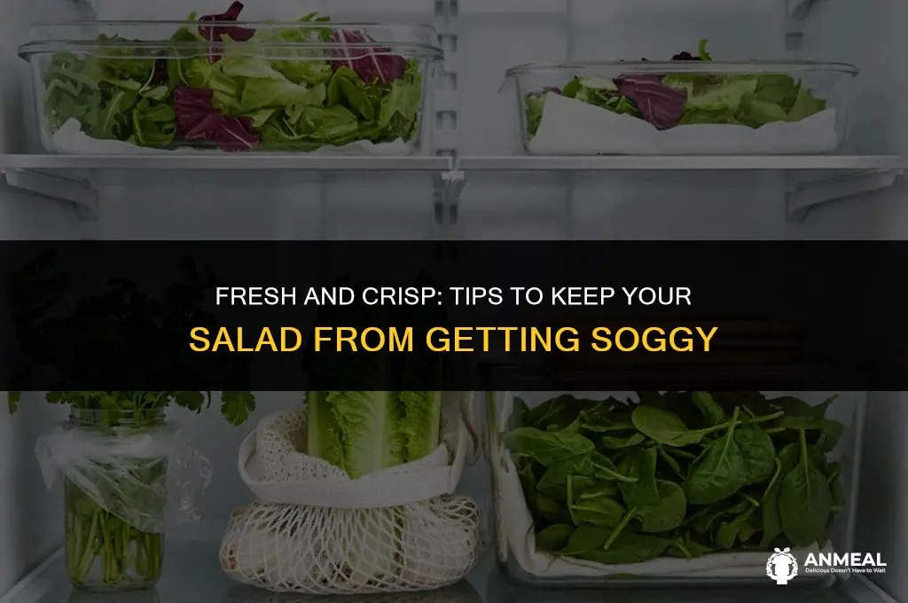 how to keep salad from getting soggy for lunch