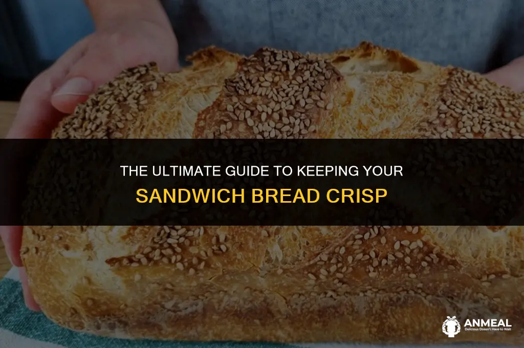 how to keep sauce from sogging bread in lunch sandwich