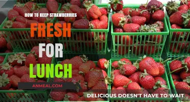 Berry Fresh: Tips to Keep Strawberries Perfect for Lunchtime