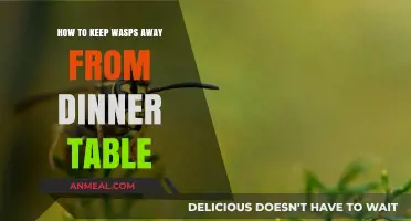 Effective Tips to Keep Wasps Away from Your Dinner Table