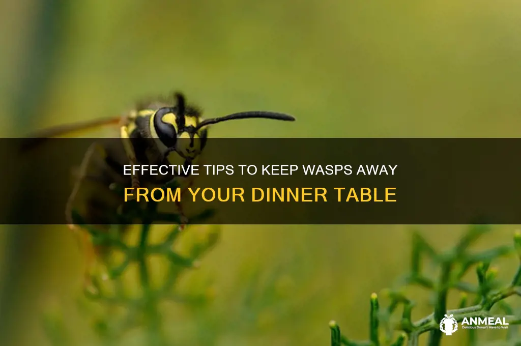 how to keep wasps away from dinner table