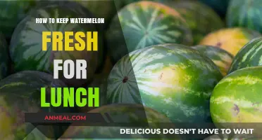 Watermelon Wonders: Lunchtime Freshness in Every Bite!
