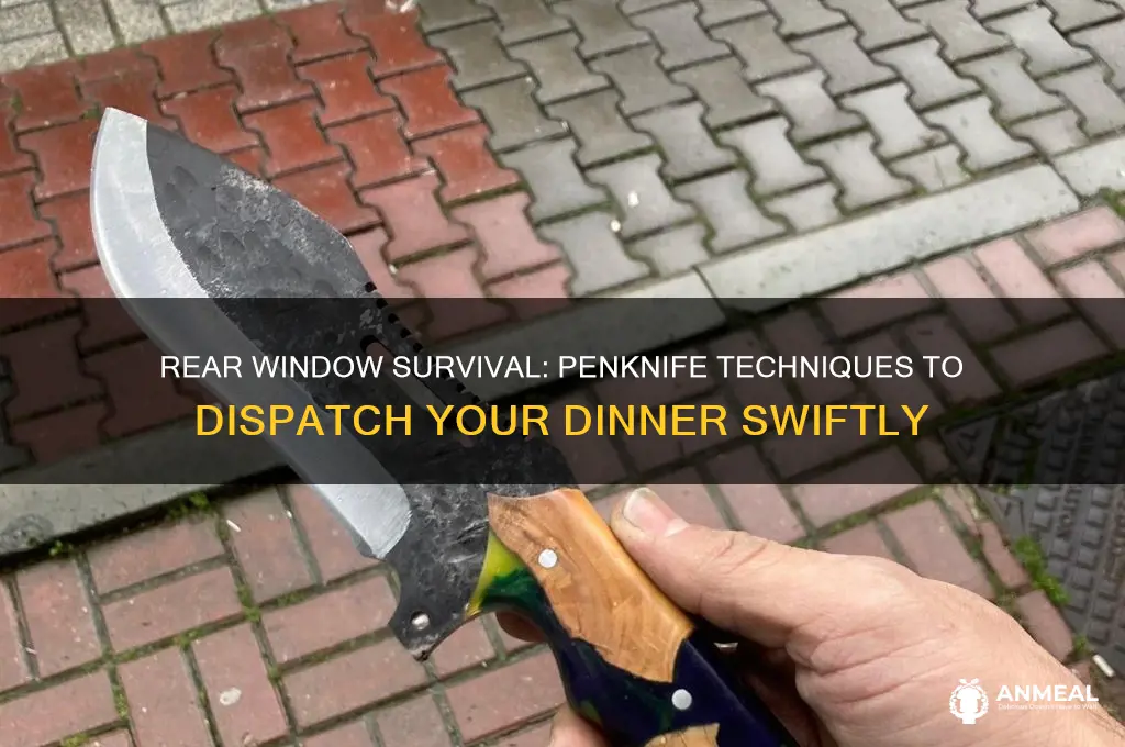 how to kill your dinner with a penknife rear window
