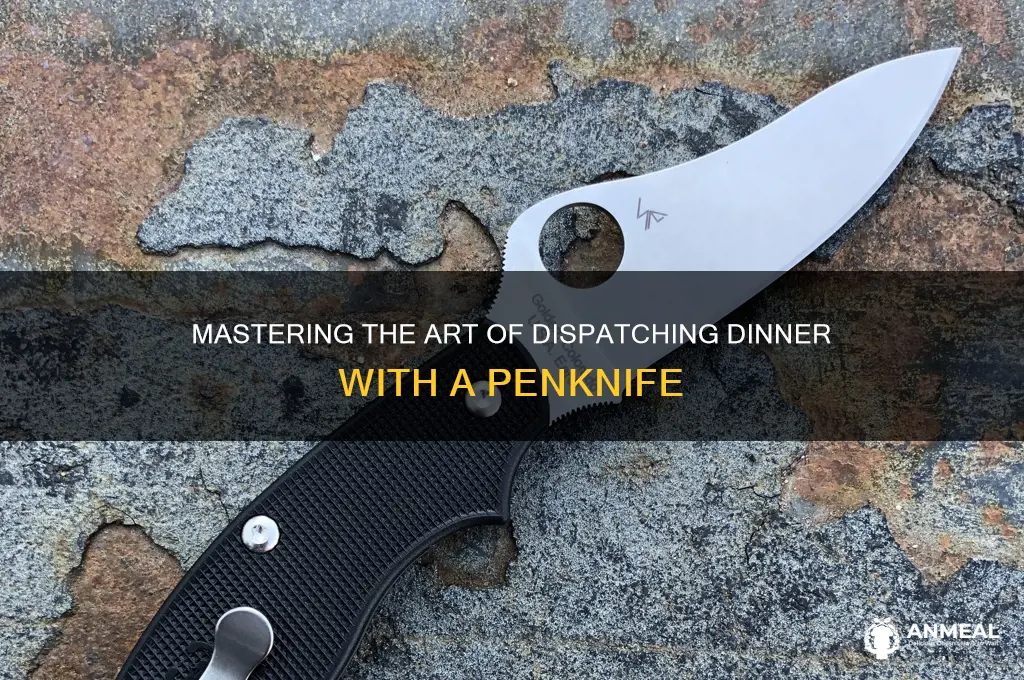 how to kill your dinner with a penknife
