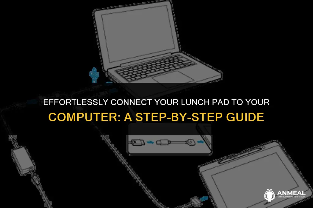 how to link lunch pad to computer