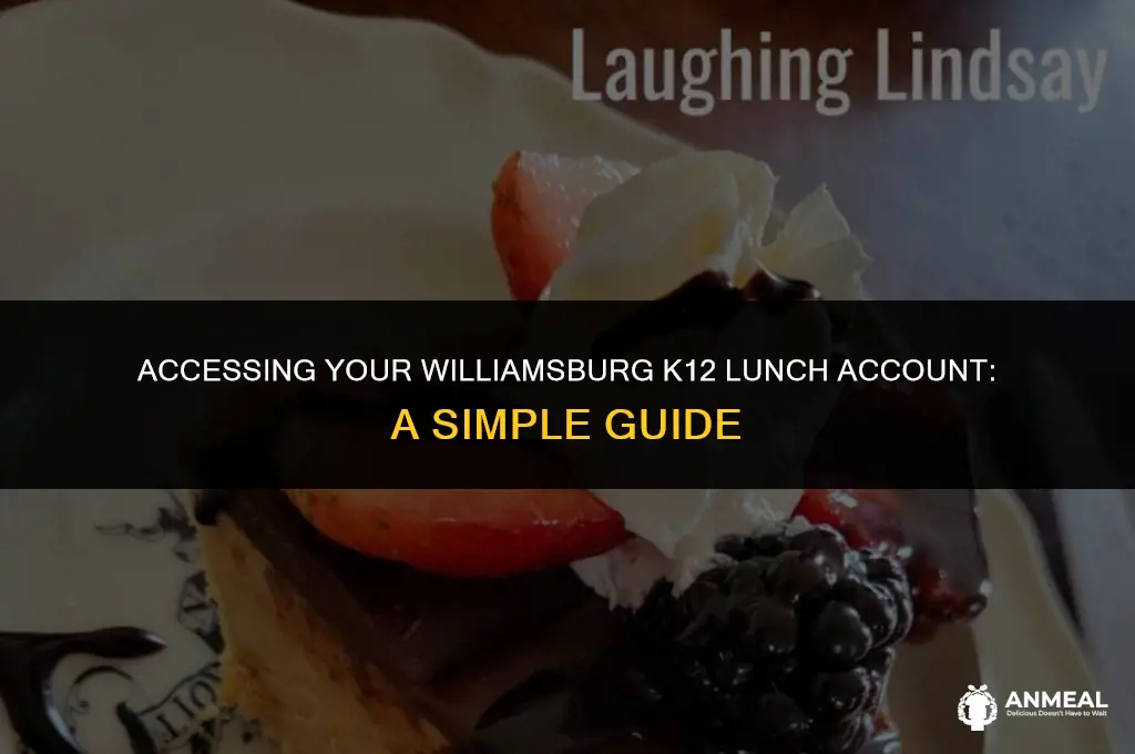 how to log in williamsburg k12 lunch account