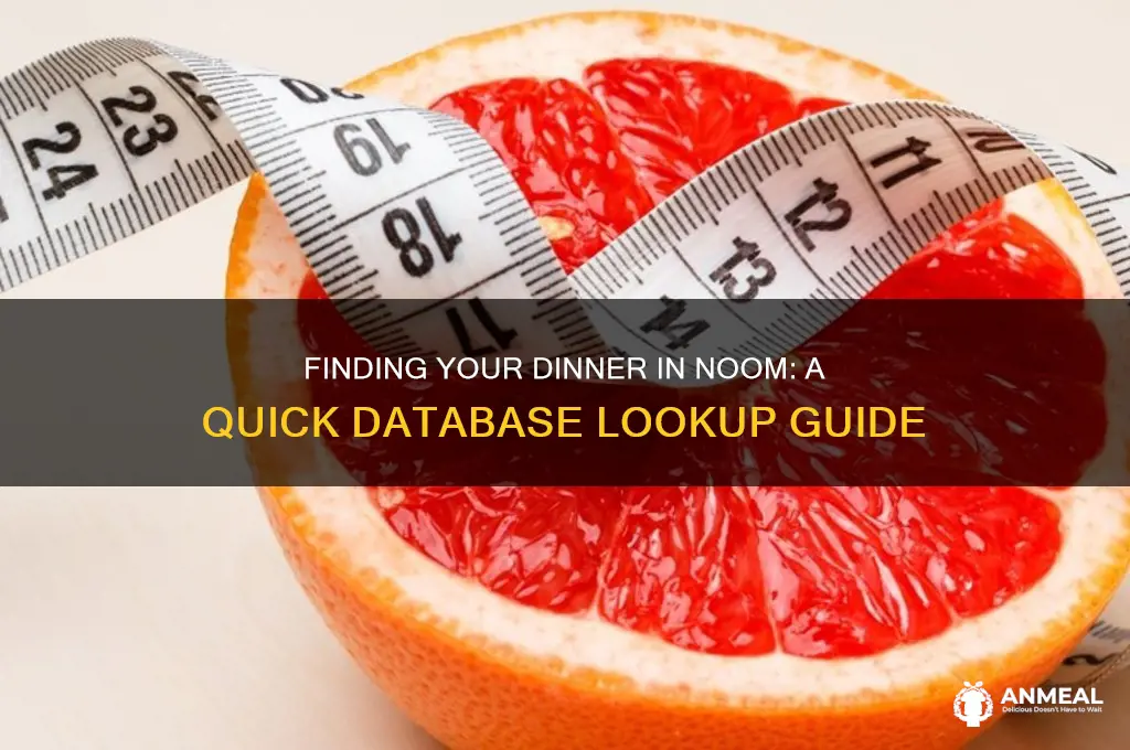 how to look up a dinner in the noom database