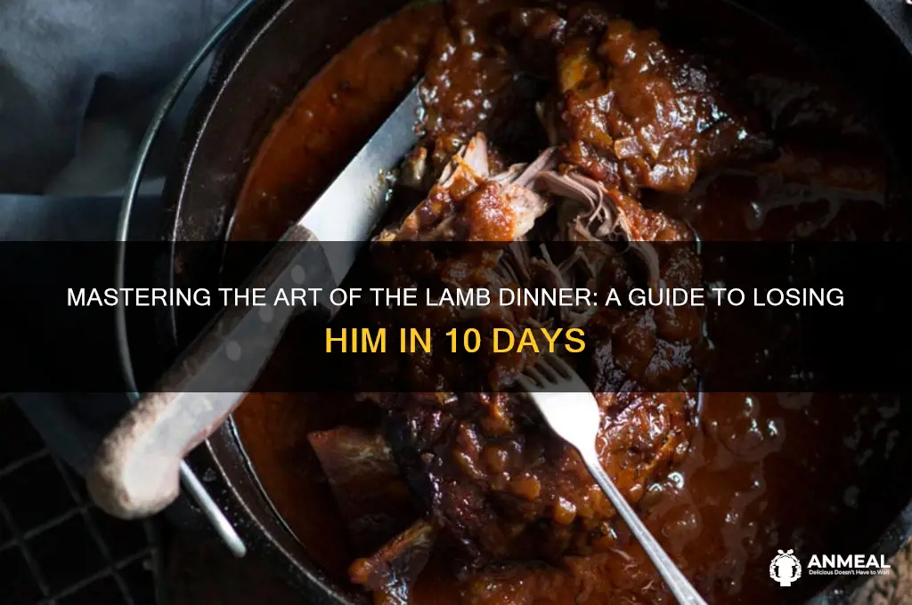 how to lose a guy in 10 days lamb dinner