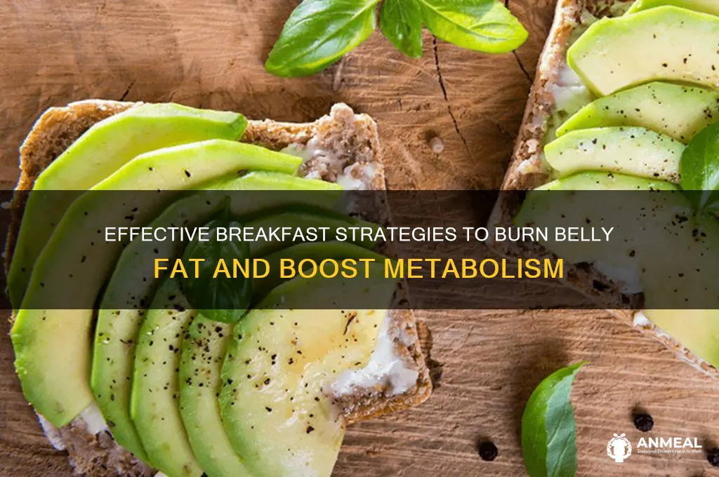 how to lose belly fat breakfast