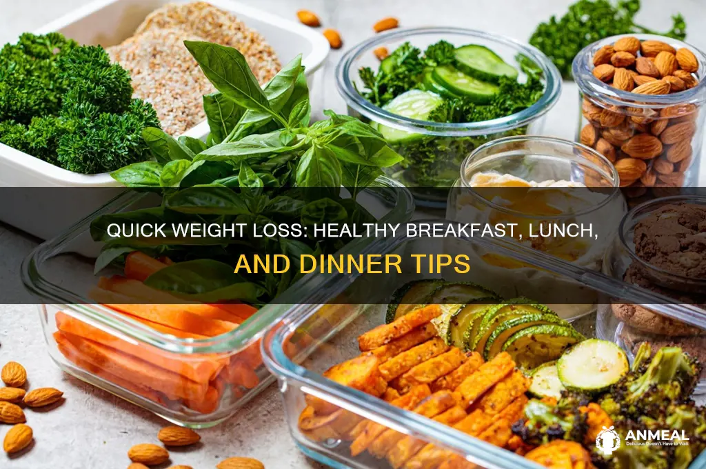 how to lose weight fast breakfast lunch and dinner