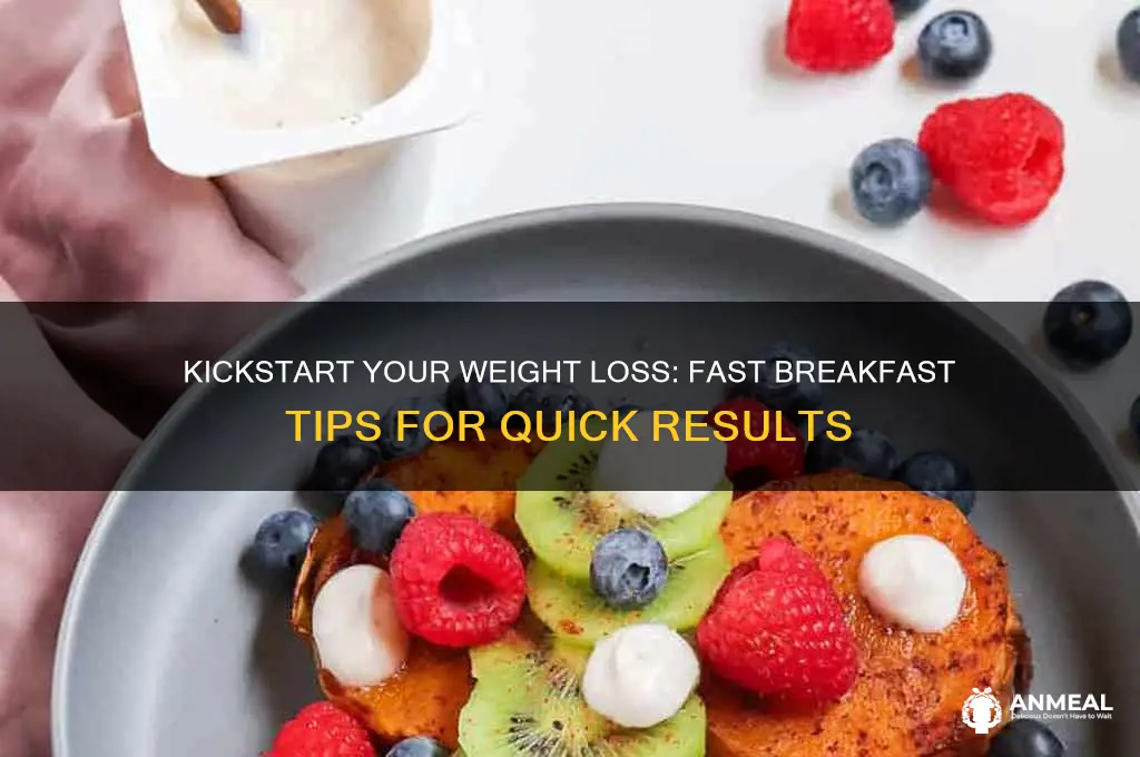 how to lose weight fast breakfast