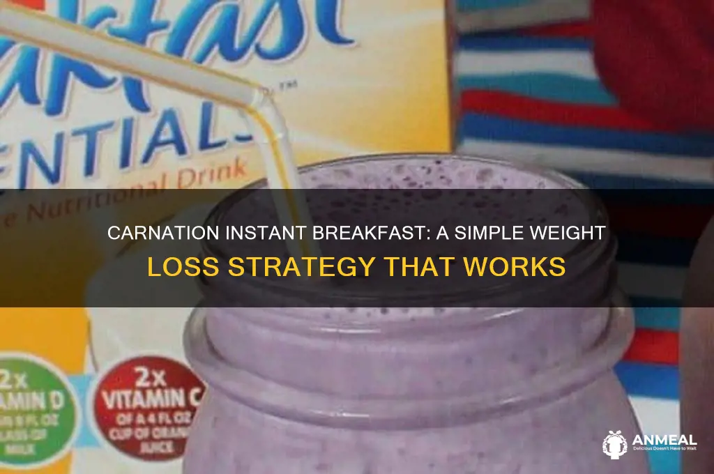 how to lose weight wirh carnation instant breakfast