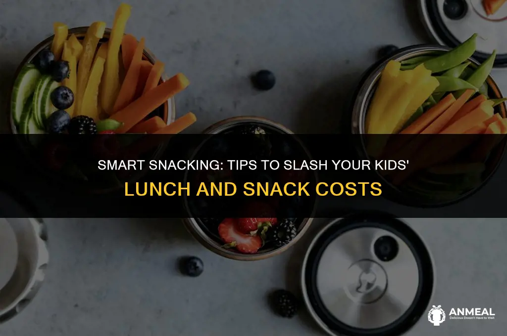 how to lower grocery bill on snacks and lunch kds