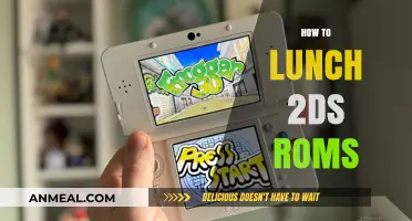 Embracing Nostalgia: A Guide to Playing 2DS ROMs on Your Device