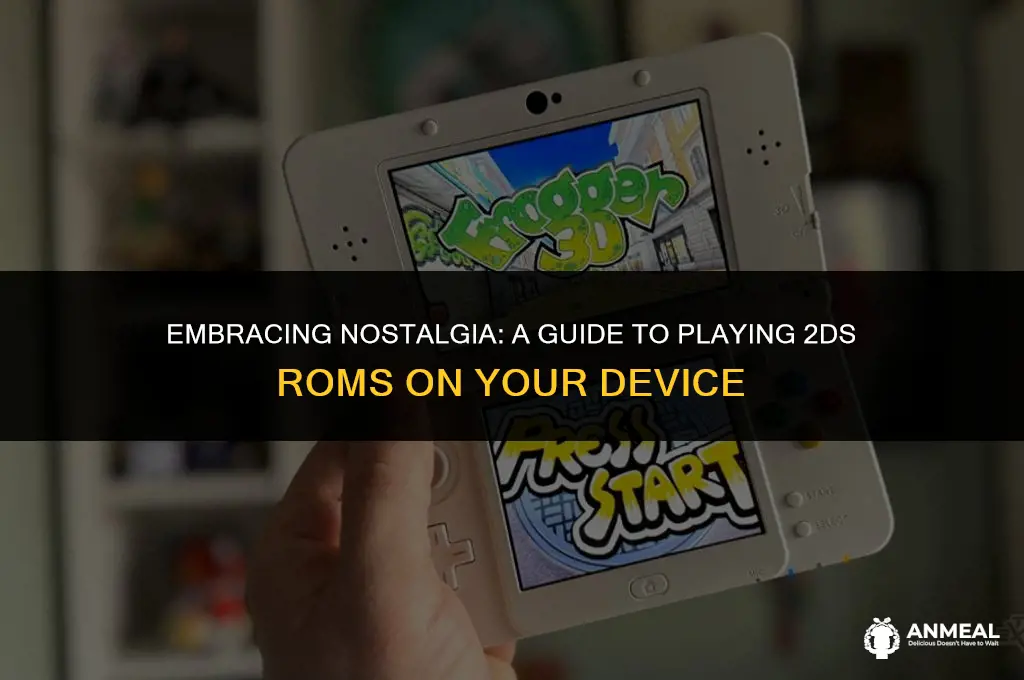 how to lunch 2ds roms