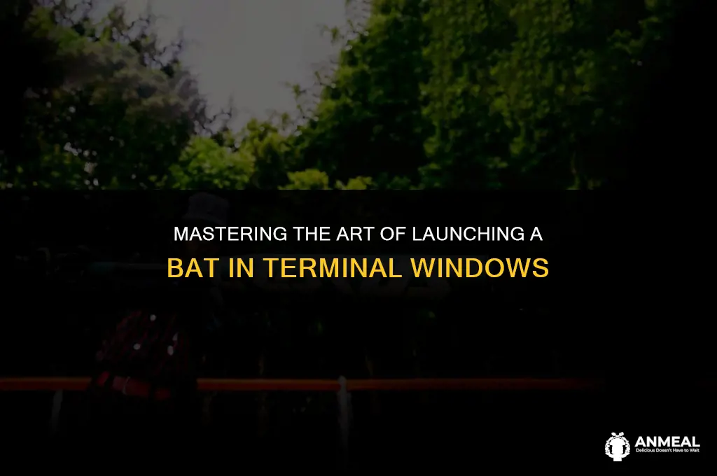 how to lunch a bat in the terminal windows