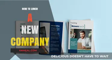 Launching Your Dream Company: A Step-by-Step Guide to Success